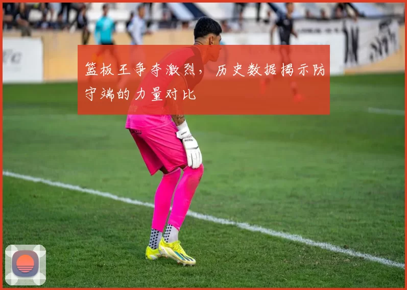 篮板王争夺激烈，历史数据揭示防守端的力量对比