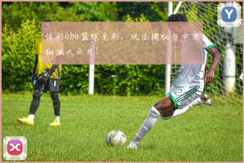 体彩cba篮球竞彩，玩法揭秘与中奖秘诀大公开！