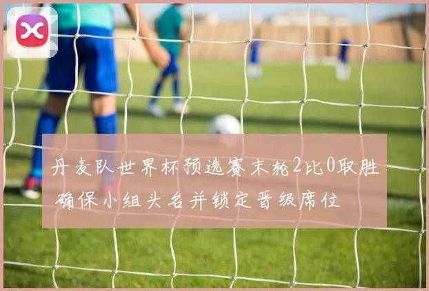 丹麦队世界杯预选赛末轮2比0取胜 确保小组头名并锁定晋级席位