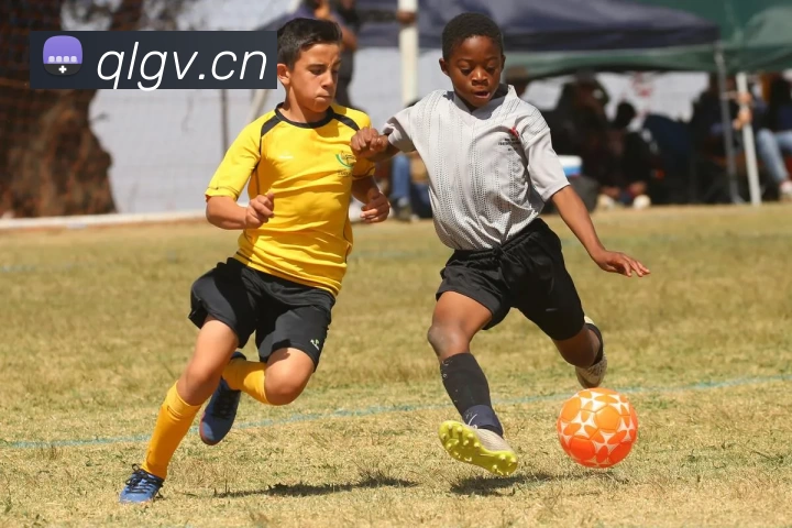 九游官网网页入口APP 高清赛事图